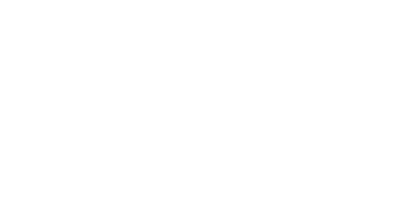 Richard Attias & Associates